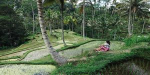 Read more about the article Qantas Direct to Bali from $520 (ex MEL)